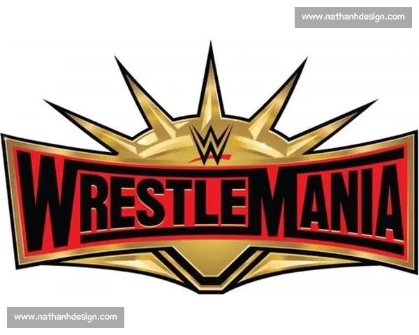 全面掌握赛事资讯与运动数据的体育综合APP免费下载指南